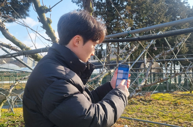 전남도