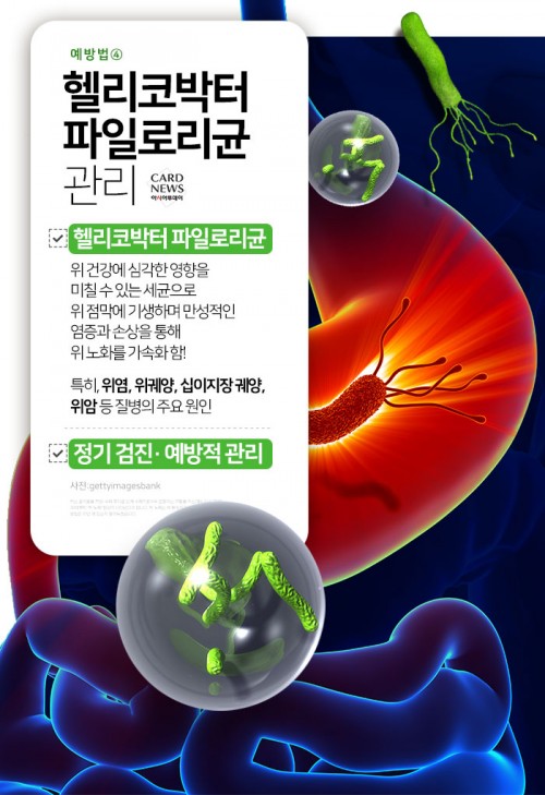 카드 뉴스 이미지