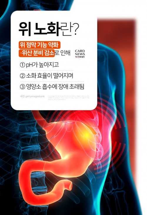 카드 뉴스 이미지