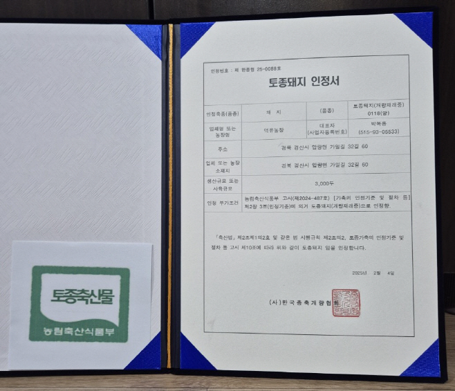 [경산시보도자료]경산시 덕유농장, 토종돼지 인정서 획득(1)