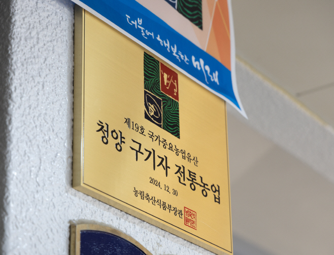 1.구기자현판식 (2)