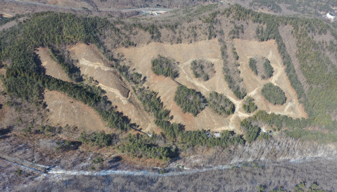 충남 도유림 6.5㏊ 친환경 벌채 완료