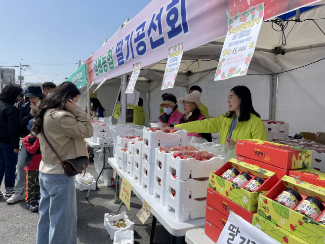 [붙임7] 딸기축제 사진