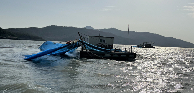 전남도