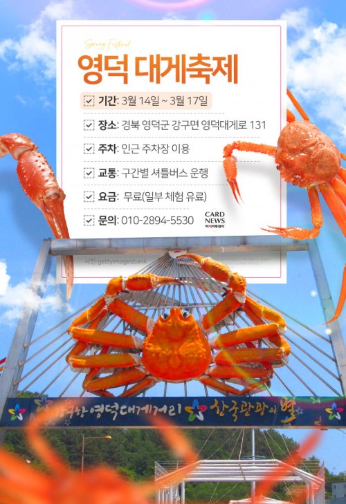 카드 뉴스 이미지