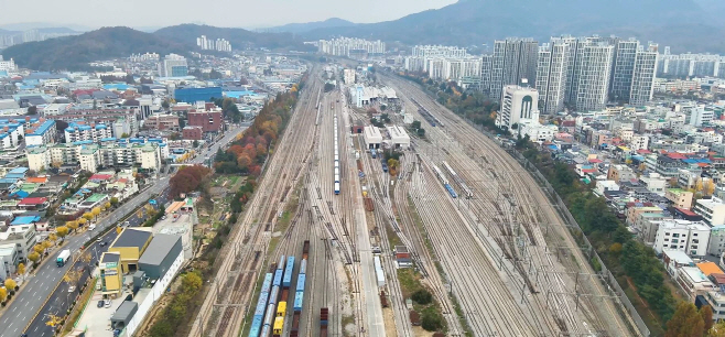 대전 조장참