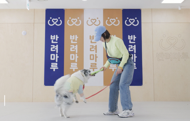 독댄스