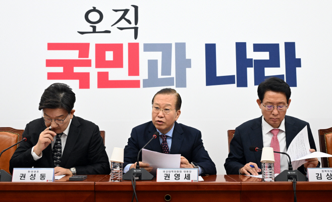 국민의힘 비상대책위원회의