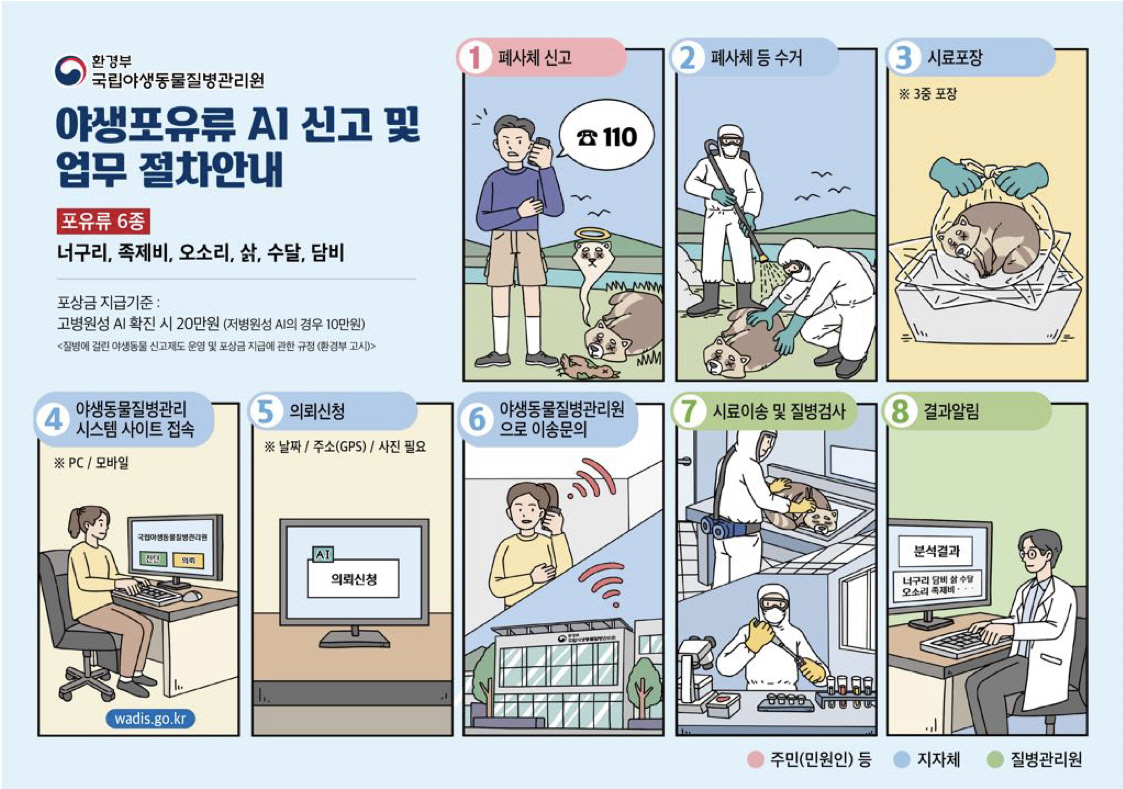 야생포유류인데…전남 화순 삵에서 조류인플루엔자