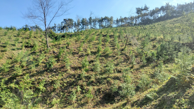 화순군