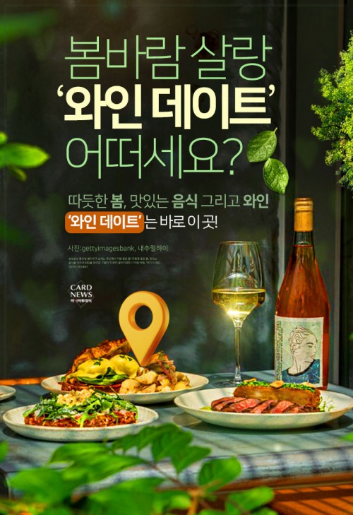 카드 뉴스 이미지