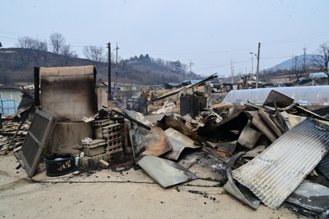 250329보도자료(청송군, 산불 피해복구 긴급 모금을 위한 고향사랑 지정기부 시작) (2)
