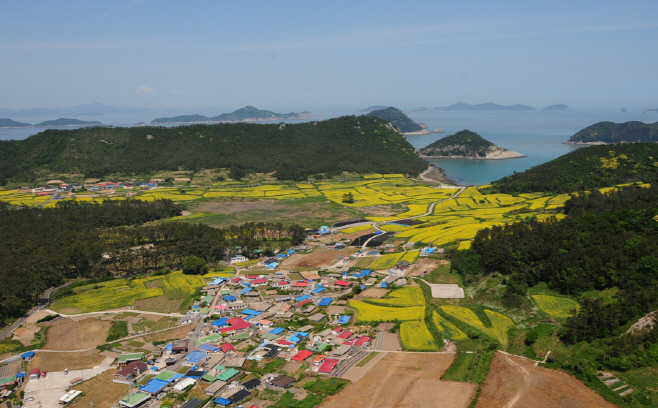 전남도