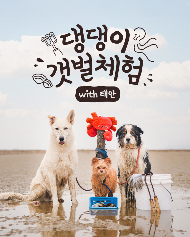 태안군, “반려동물과 함께 서해 갯벌체험 즐기세요”...반려인