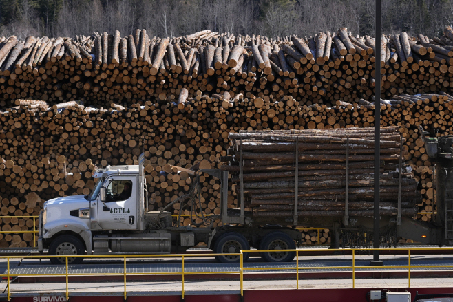 Trump Tariffs Lumber <YONHAP NO-2859> (AP)