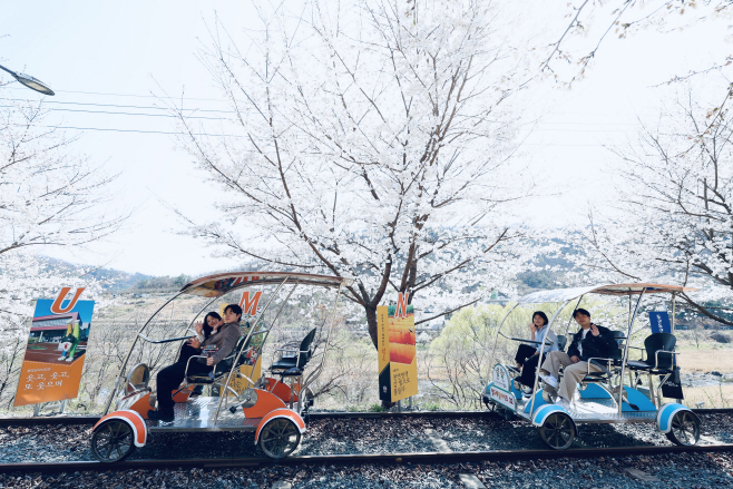 청도레일바이크