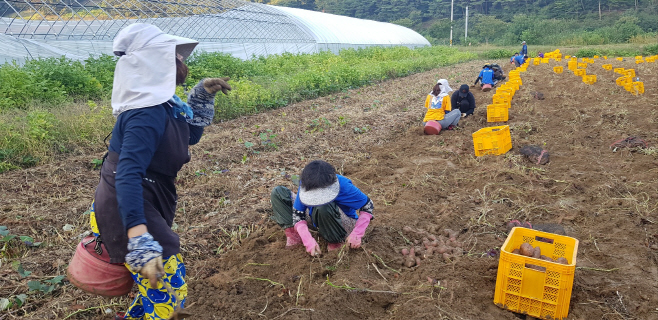 KakaoTalk_20250412_151418513
