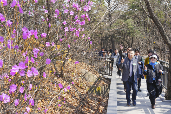봉화산1