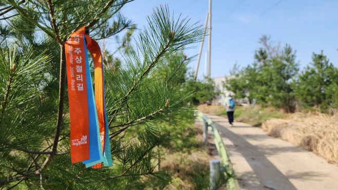 6 포천 한탄강 세계지질공원, 주상절리길 리본 달기 행사 개최