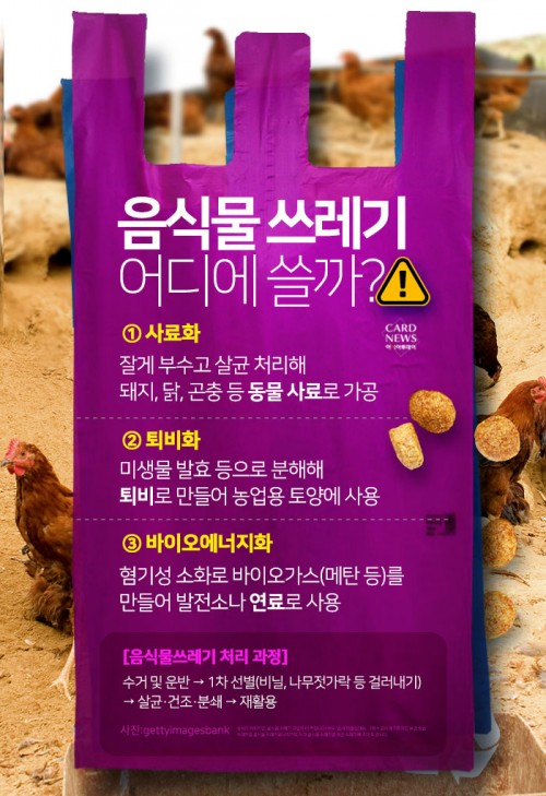 카드 뉴스 이미지
