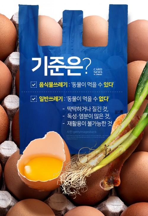카드 뉴스 이미지