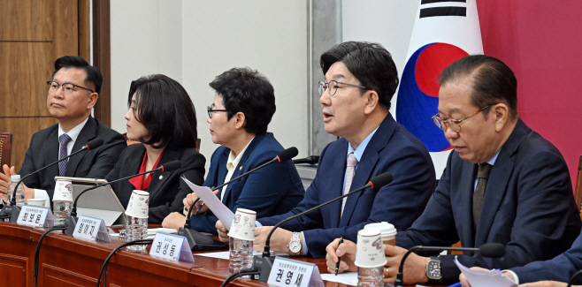 국민의힘 비상대책위원회의