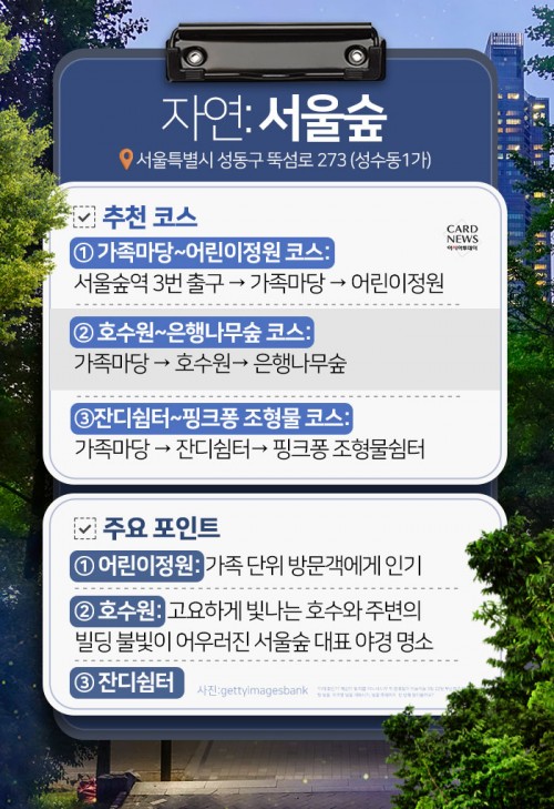 카드 뉴스 이미지