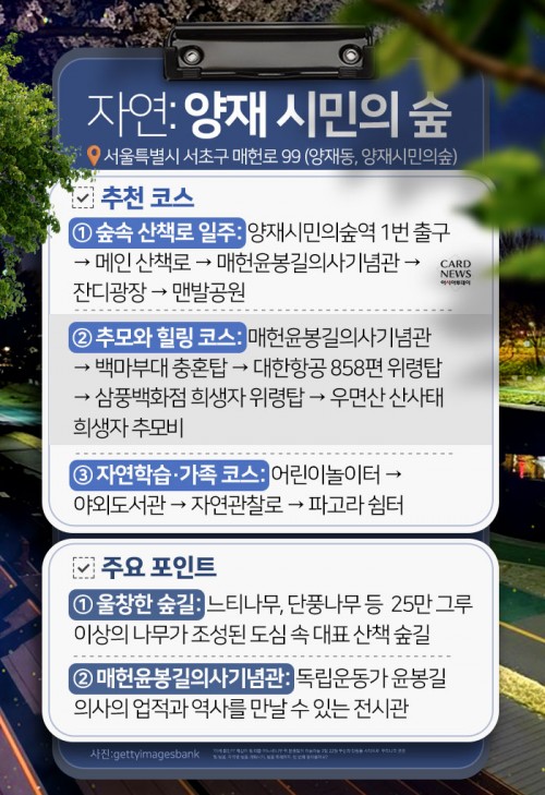 카드 뉴스 이미지