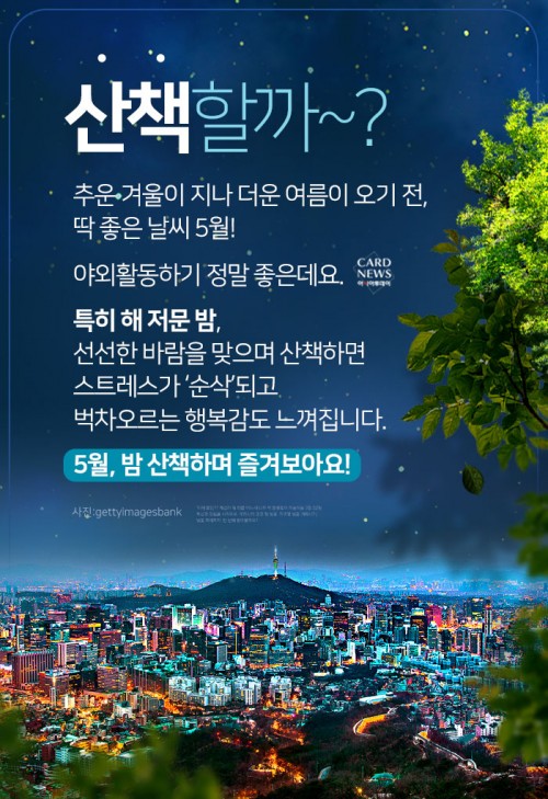 카드 뉴스 이미지