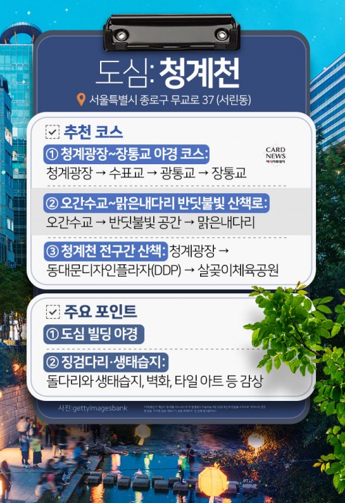 카드 뉴스 이미지