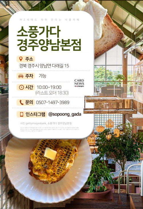 카드 뉴스 이미지
