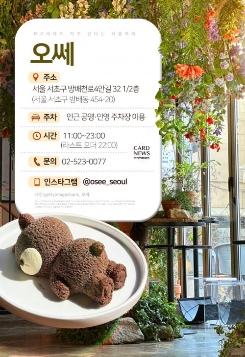 카드 뉴스 이미지