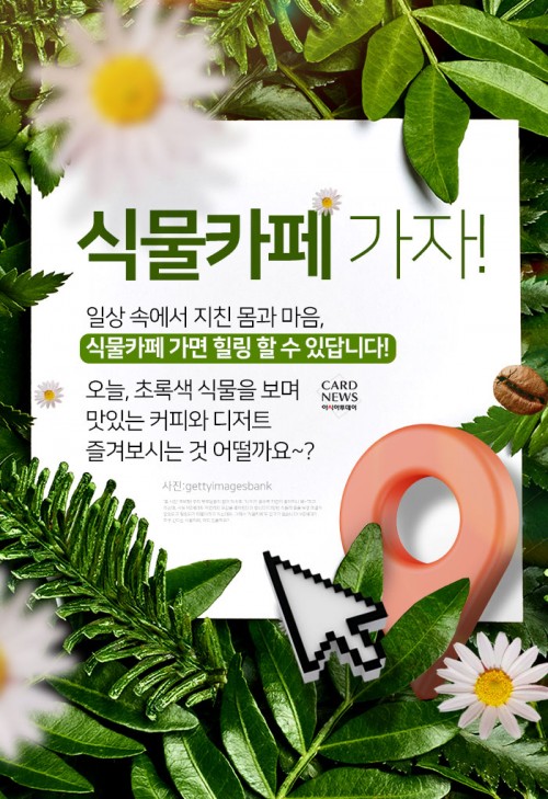카드 뉴스 이미지