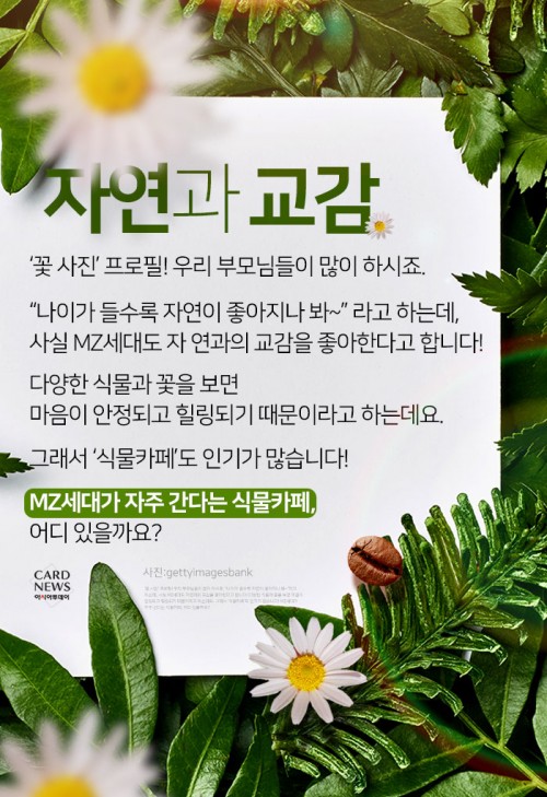 카드 뉴스 이미지