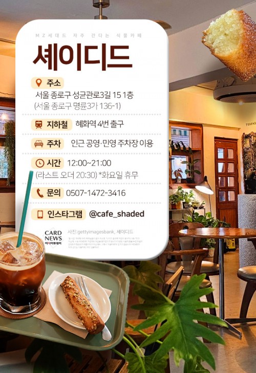 카드 뉴스 이미지