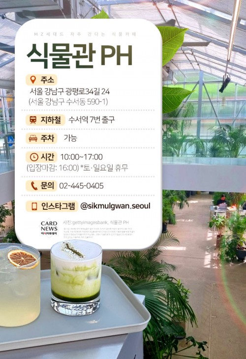 카드 뉴스 이미지