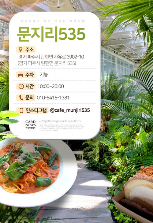 카드 뉴스 이미지