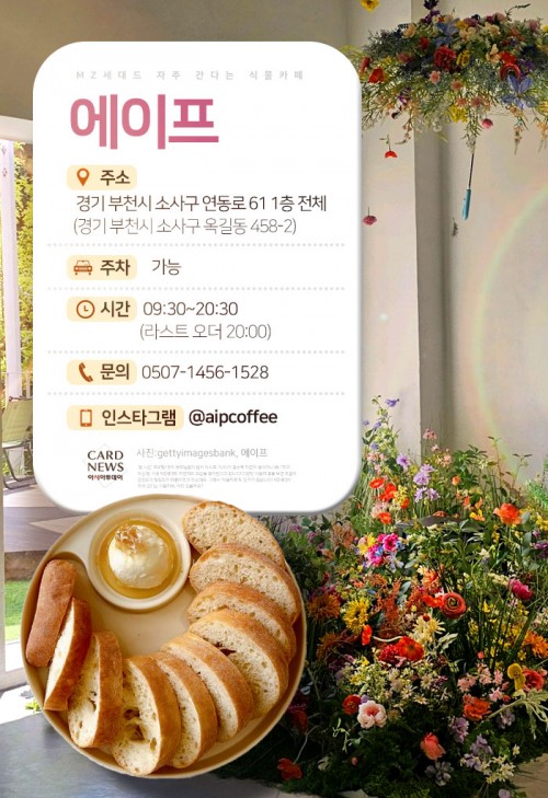 카드 뉴스 이미지