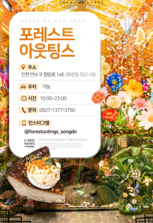 카드 뉴스 이미지