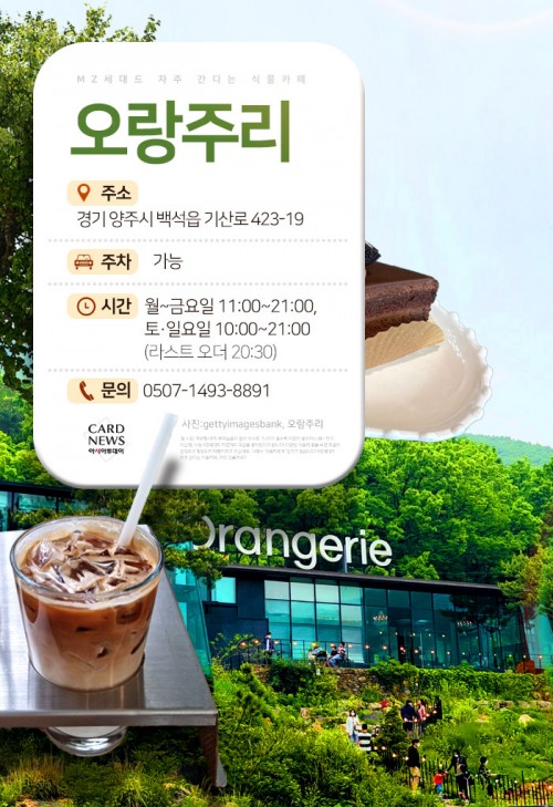 카드 뉴스 이미지