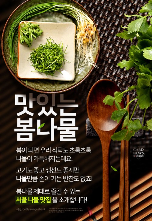 카드 뉴스 이미지