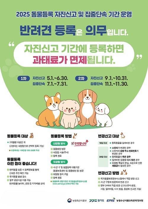 포스터 시안