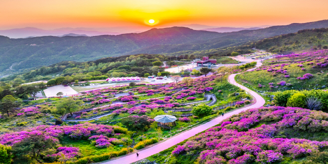 산청 황매산 철쭉제