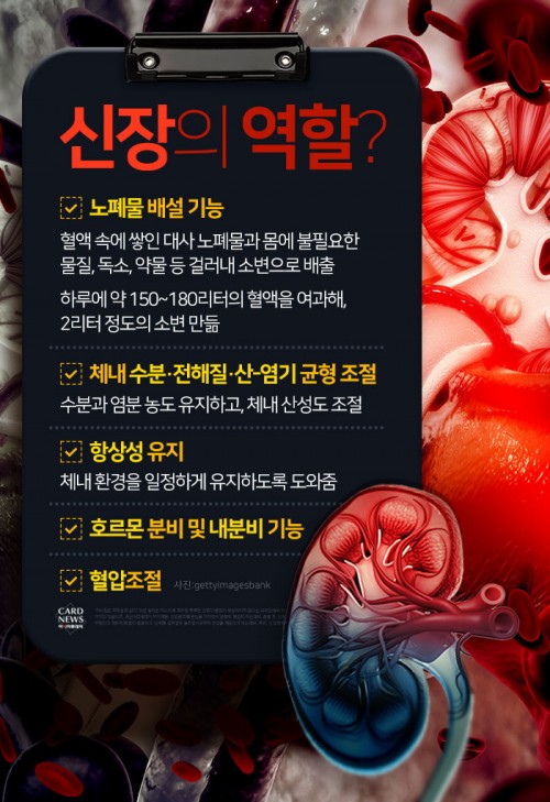 카드 뉴스 이미지