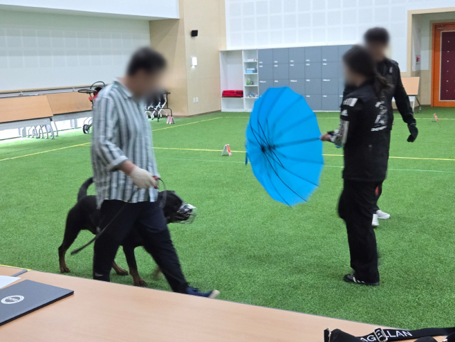 맹독견 훈련 모습