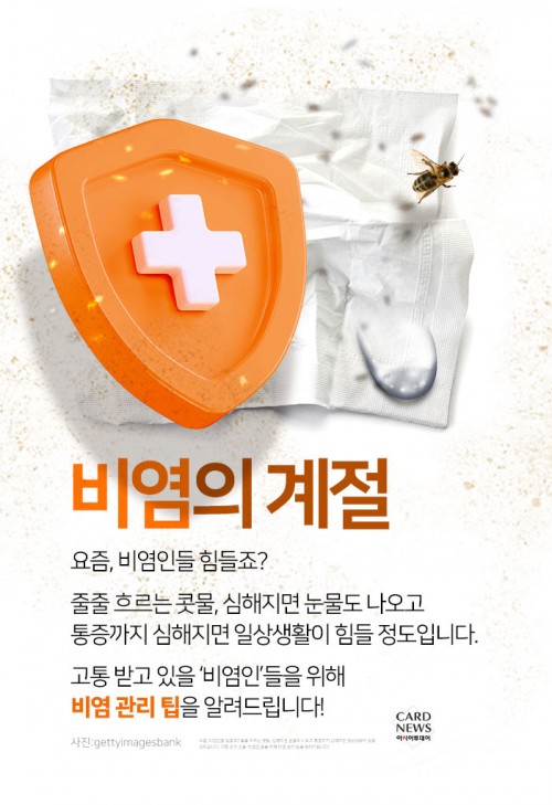 카드 뉴스 이미지
