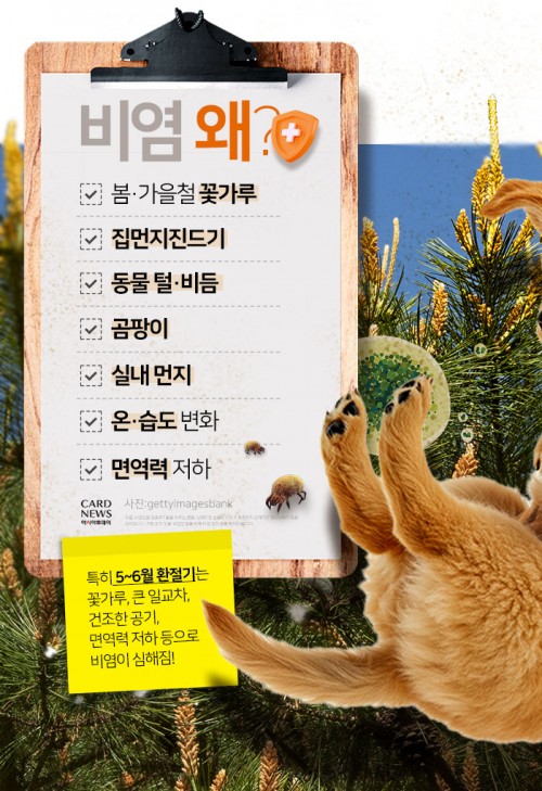 카드 뉴스 이미지