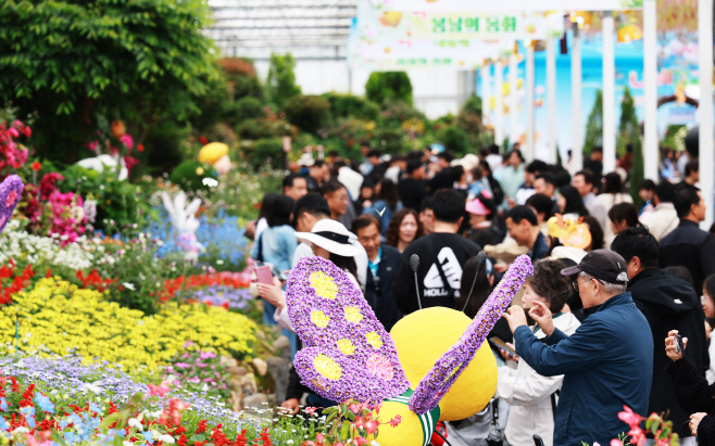 나비축제