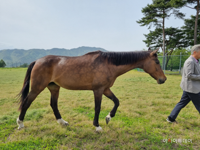 KakaoTalk_20250509_105328036_01