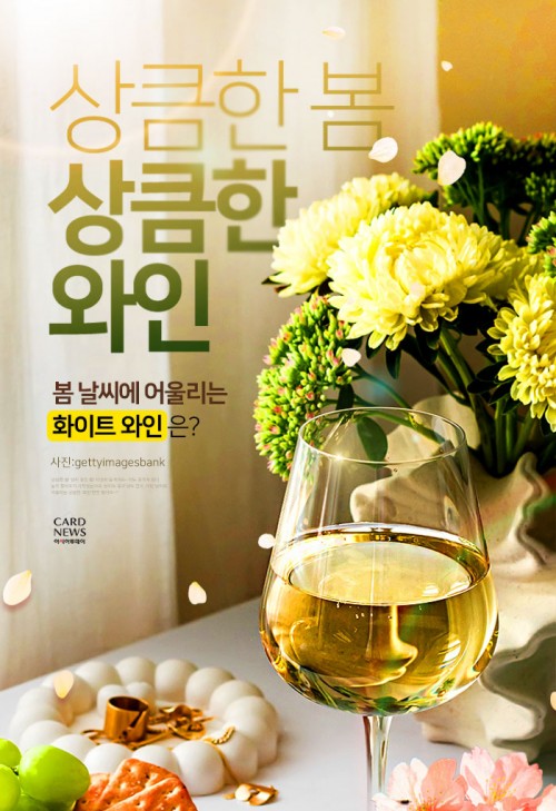 카드 뉴스 이미지